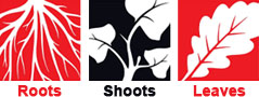 Roots Shoots and Leaves