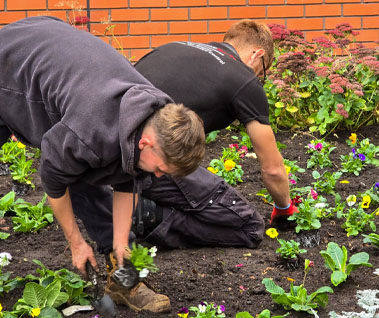 Soft & Hard Landscaping